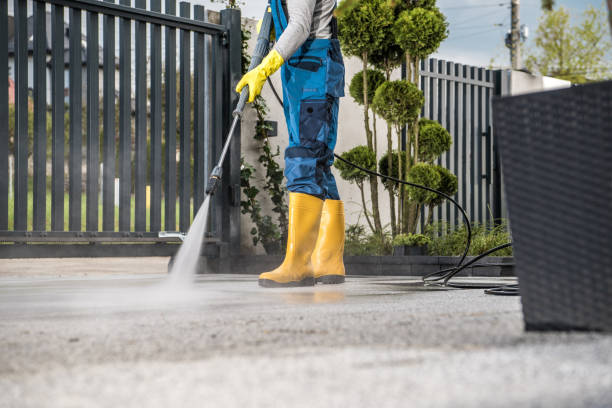 Trusted Lino Lakes, MN Pressure Washing Services Experts